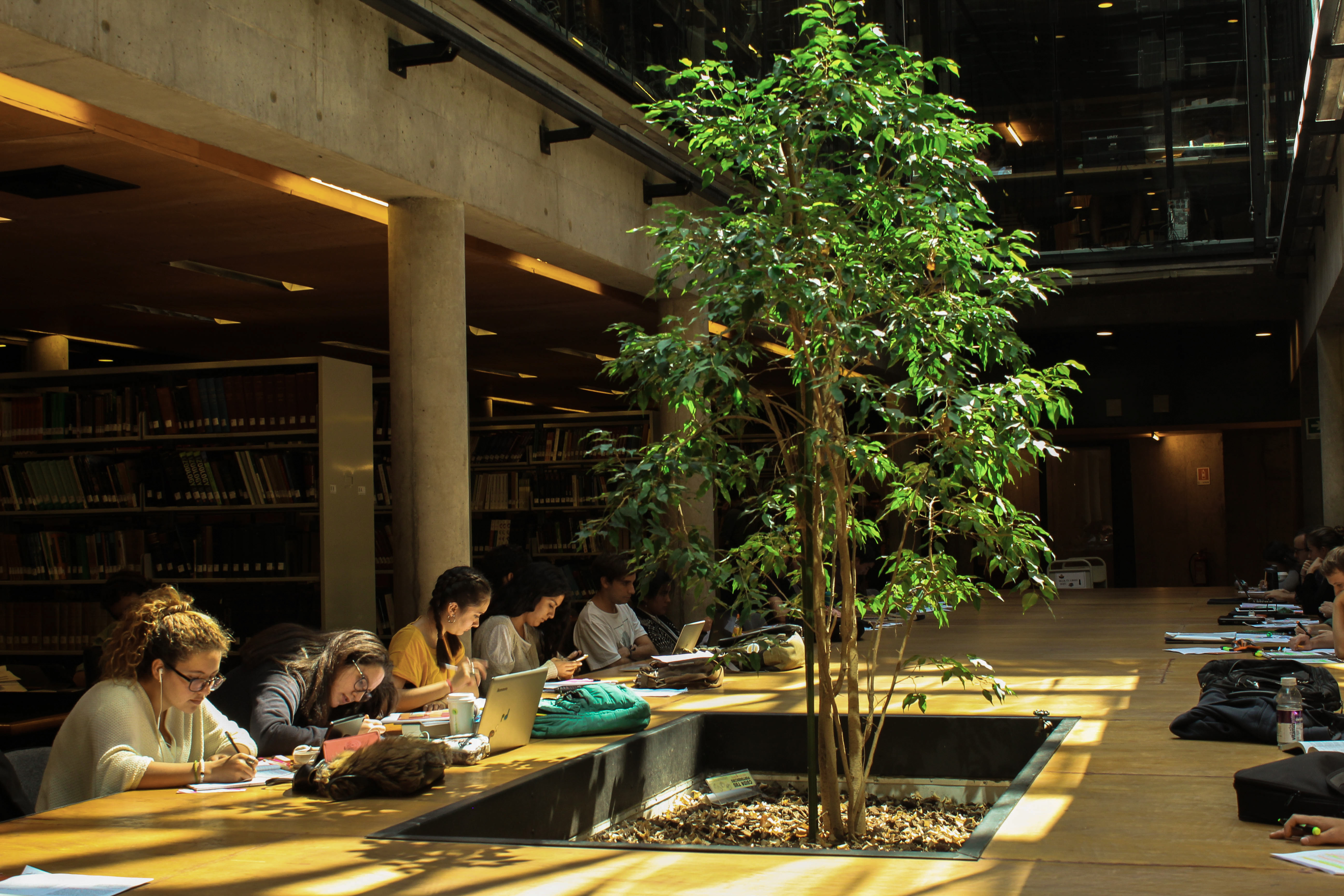 Fotografía Biblioteca Biomédica