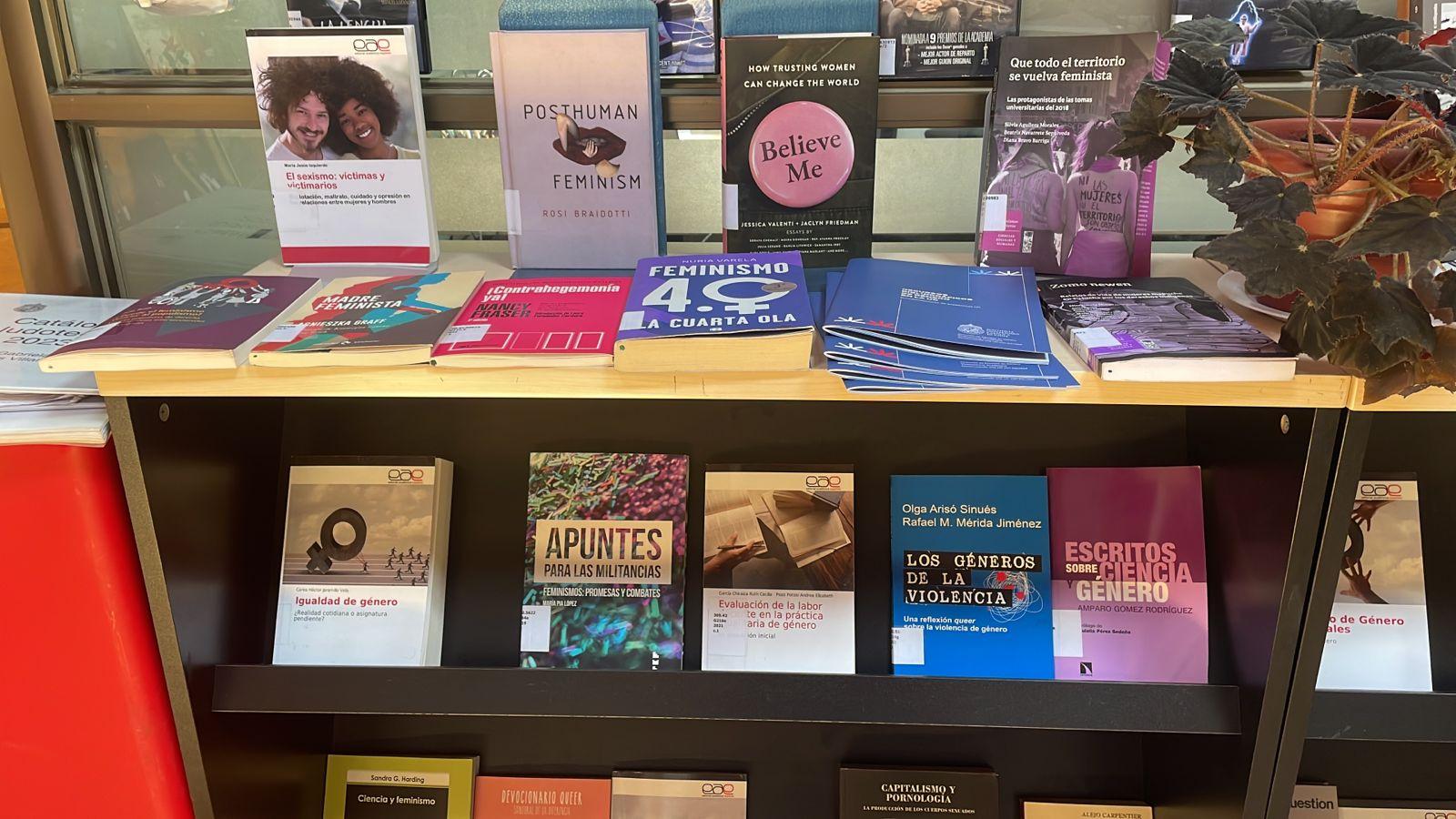 Fotografía de sector dedicado a difundir la colección de género en biblioteca del campus villarrica.