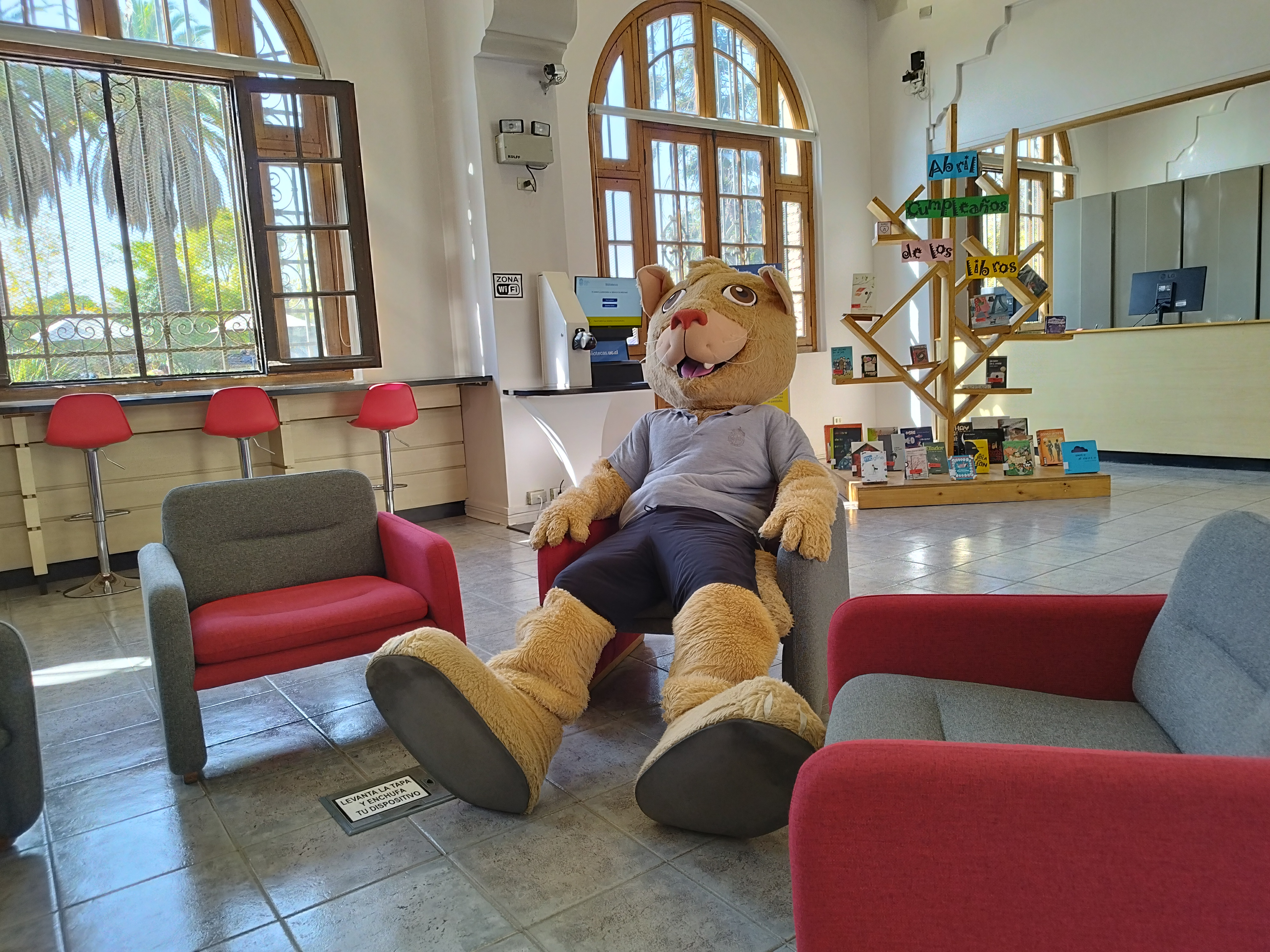 Fotografía de la mascota de la UC, Pangui, sentado en en un sillón de la Biblioteca Campus oriente