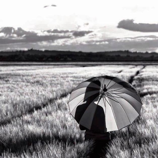 Fotografía de la portada del libro "Las llanuras".  En blanco y negro, muestra a una persona de espaldas, sosteniendo un paraguas abierto y a rayas. Se encuentra en medio de un campo de trigo o pasto, que se extiende bajo un cielo nublado."