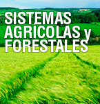 sistemasagricolasyforestales